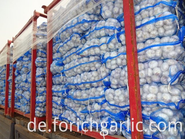 Best Quality Fresh Normal Garlic 5 0cm